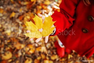 Bild på Beautiful autumn leaves Golden autumn Selective focus